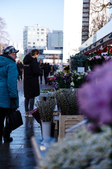 A flower stall on an outdoor market with an array of fresh floral arrangements in various colours, including purple, white, and pink, displayed in white vases and crates. The flowers appear vibrant an